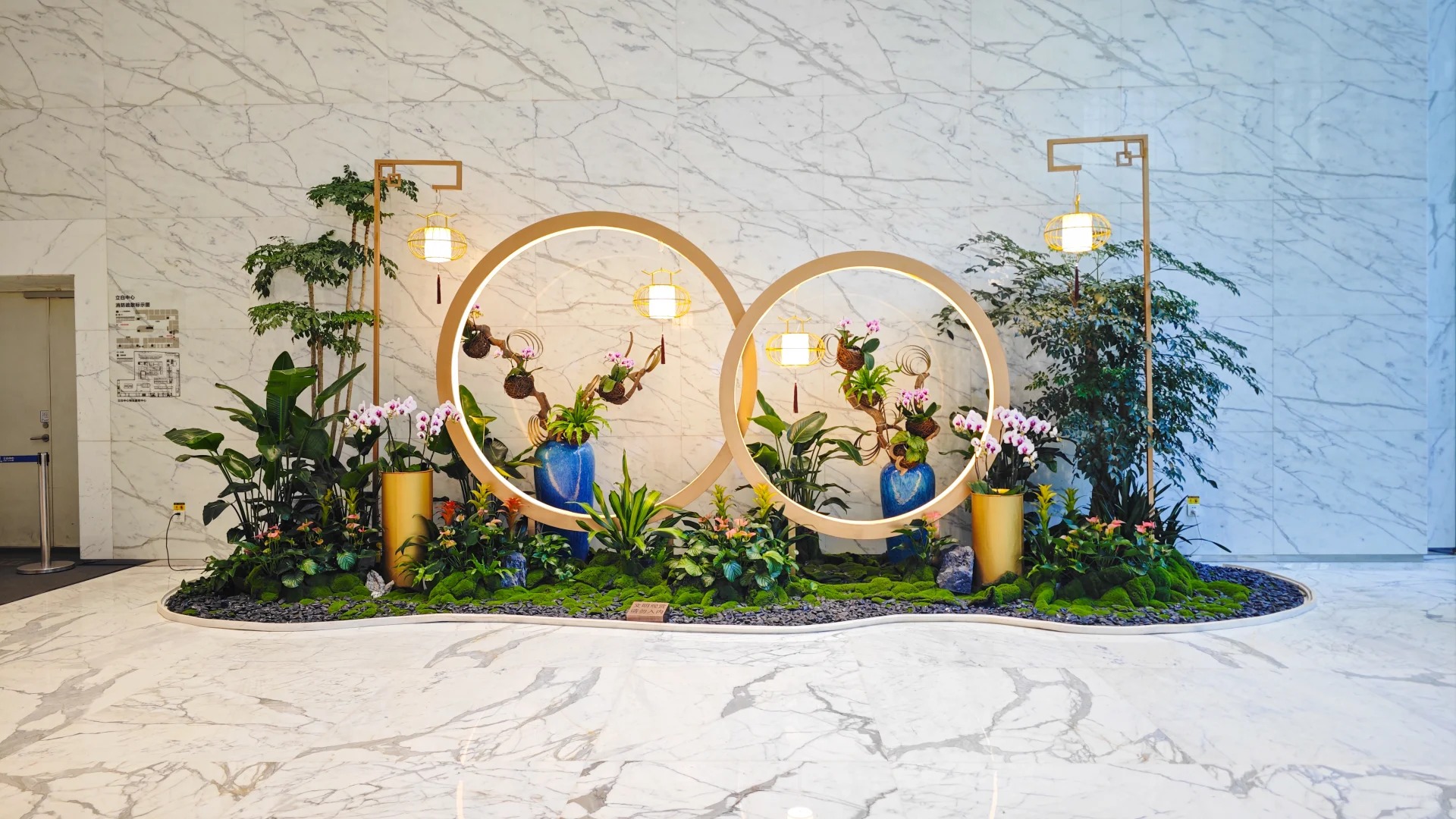 专业盆景出租在宁波前湾,营造别样氛围